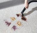 Փոշեկուլ Dreame Portable Carpet Spot Cleaner N10 - 3