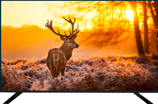 Հեռուստացույց ARTEL A50NUCH001 black - 29118